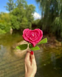 Rose parfumée - bougie