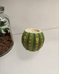 Bougie en pot à peindre Cactus