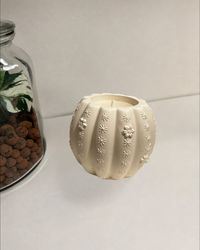 Bougie en pot à peindre Cactus